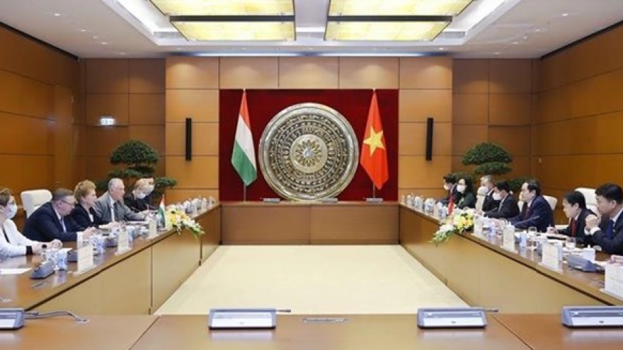 Vietnam places importance on bolstering comprehensive cooperation with Hungary